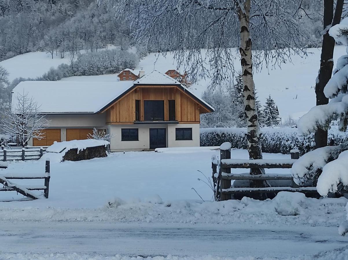 Ferienwohnung Davidhof Unternberg エクステリア 写真